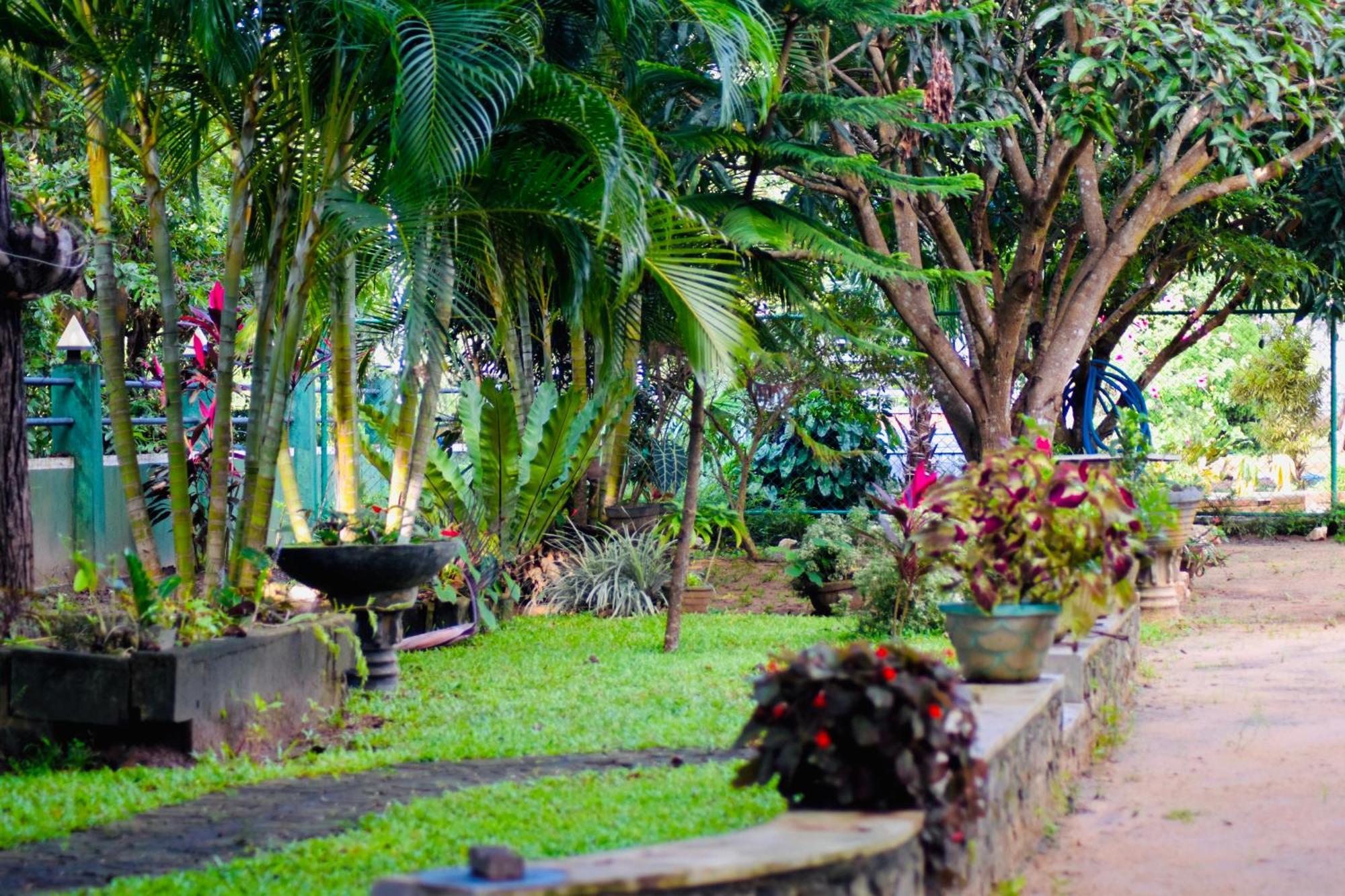 Sinhagiri Villa Sigiriya Luaran gambar