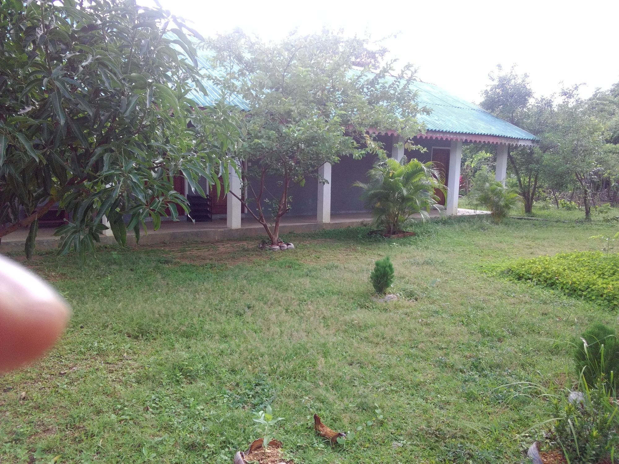 Sinhagiri Villa Sigiriya Luaran gambar